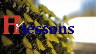 Learn to build your own website, join Hlessons!