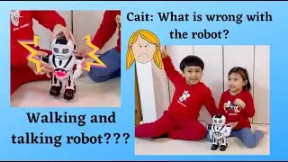 WALKING AND TALKING ROBOT