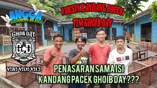 VAKSIN KANDANG PACEK TIM GHOIB DAY