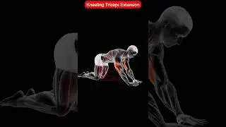 How to Build Bigger Triceps with Kneeling Cable Extensions.