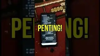 PENTING! Cara Setting Interface Gateway Link RoIP Portable Mobile HT Alinco DJ-CRX