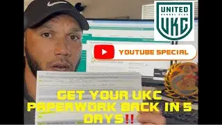 КАК БЫСТРО ЗАРЕГИСТРИРОВАТЬ ВАШЕГО АМЕРИКАНСКОГО БУЛИ В UKC‼️⚡️Меньше чем за 5 дней! #vepbullies #americanbullies