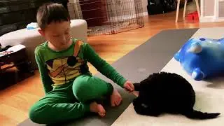 Joey our Australian Labradoodle | Nov/Dec 2020