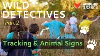 Wild Detectives: Tracking & Animal Signs
