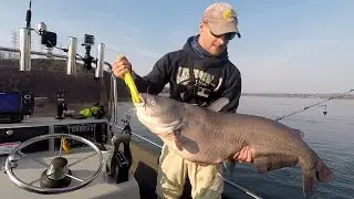 The Catfishing WEIGHT CHALLENGE!!! Ft. FV-Catfish.com & Chatt Cats Fishing (Chattanooga, TN)
