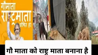 दिव्य चोपड़ धाम चिन्यालीसौड़ उत्तरकाशी @GopalManiMaharaj गौ माता राष्ट्र माता | Neeraj Khanduri | 