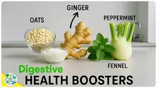 Top 5 Foods to Improve Your Digestive Health and Prevent Bloating Naturally