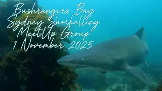 Bushrangers Bay 1 November 2025