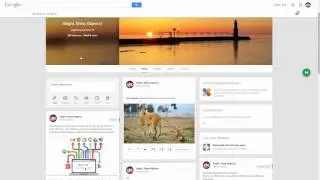 Google Plus: Sharing from a profile to a page and vice versa