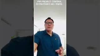 P&G Project control estrat&eacute;gico                No + PAPEL