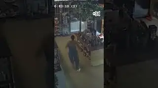 Police Impersonator Attempted Robbery