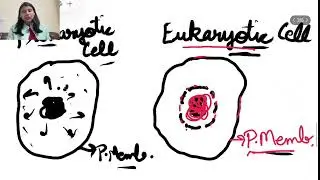 Cell कोशिका | Prokaryotic Cell | Eukaryotic Cell | Cytology