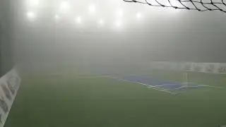 cricket Live Stream
