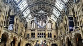 London with a Merlin Annual Pass including Natural History Museum 1080p