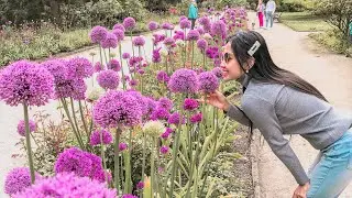SURGA PECINTA BUNGA 🌸🌼 | TAMAN KOTA
