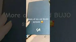 Bullet Journal Flip Through #bujowithme #journal