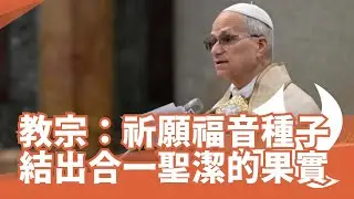 教宗：祈願福音的種子結出合一的果實
