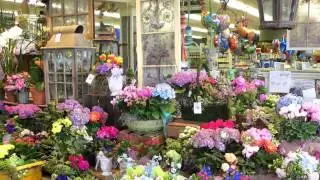 Palmer's Market in Darien Hosted Coffee Break on the HAN Network & Hanradio.com. May 15, 2015