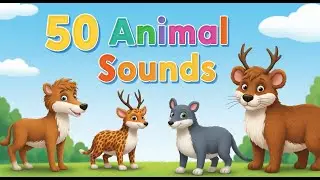 50 Animal Sounds for Kids | Learn Animal Names with Cute Animations