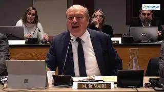 Conseil Municipal de la ville d'Annemasse du 11 février 2025
