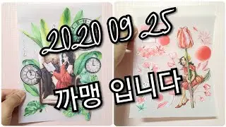 [200925] 15cm 롤트레이싱 롤꾸해요ㅋㅋ