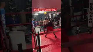 Intense sparring Conflict sports #boxing #mma #sparring