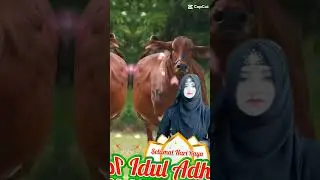 29 june 2023 ll EID-UL-ADHA Advance Eid Mubarak ❤️#eidmubarak2023 #alizanoorofficial