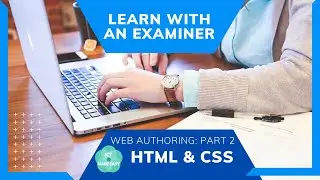 Mastering Web Authoring (Part 2): CSS & HTML