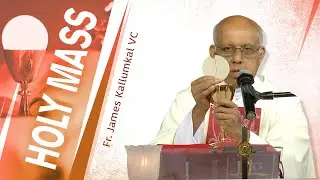 Holy Mass Live Today | Fr. James Kallumkal VC |28 Jan| Divine Retreat Centre Goodness TV