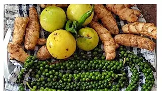 2 Types of MANGO GINGER PICKLE #subscribe  