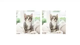 2 ways: Image zoom on hover | Effects | HTML & CSS