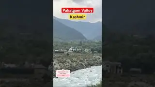 Pahalgam valley of kashmir | Tourism |#travelshorts #trending #ytshorts #travelindia #viralshorts