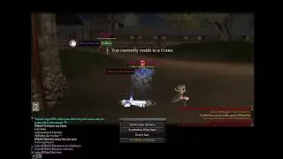 9dragons Cheapest Gear for Pvp in 2024 no need fancy items and spend a lot for fun...