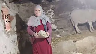 صباحكم برباحكم و 100 نعجة في مراحكم.. صباح مبارك مع نعجاتي 🐑🐑