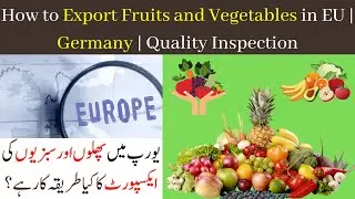 How to Export Fruits and Vegetables in EU | Germany | Quality Inspection