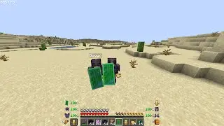 Shield Status Mod (Updated too 1.20.4)