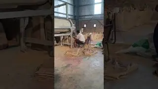 Wheat processing plant 🌾 #wheat #agriculture #processing #equipment #machine #shorts