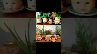Reuse household items into planter|| creative planter ideas