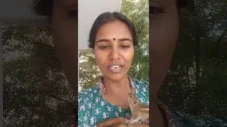 🐿️&hearts;️🐿️&hearts;️🐿️ Kind SQUIRREL  | KARPAGA'S CHANNEL | # shorts