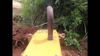 Trator de esteira CATERPILLAR  D6N Filmagem de fora e aguardem o final