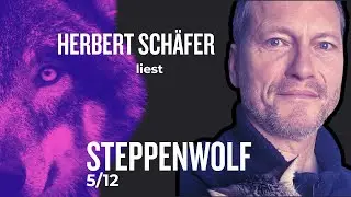 THE STEPPENWOLF Hermann Hesse (Part 5) 