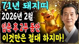 2026년 2월 4일 '입춘' 이후, 71년생 돼지띠는 절대 '이것' 하지 마세요! 평생 돈복이 결정되는 마지막 기회