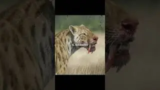 Top 7 most famous prehistoric animals...