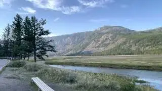 Flying Crane over Madison River, Yellowstone National Park, USA