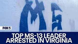 Top MS-13 leader arrested in Virginia | FOX 5 DC