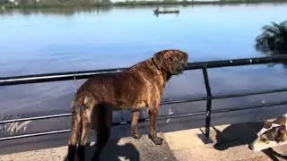 Crecida del Río Uruguay Concordia Argentina