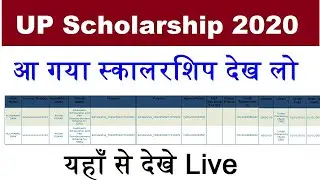 check status up scholarship 2019-2020, How to check up scholar status