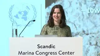 Special remarks from the Ministry for Foreign Affairs of Finland