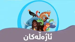ناوی ئاژه‌ڵه‌كان به‌ كوردی و ئینگلیزی بۆ مناڵان 👶🏼