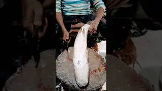 Quick & Easy Rohu Fish Cutting Guide: Perfect Fillets in Minutes #shorts